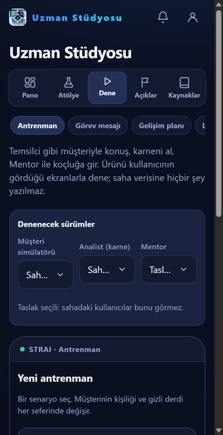 Dene sekmesi